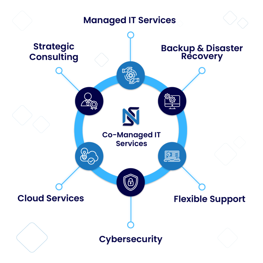 NSN Infotech Co-Managed It Services